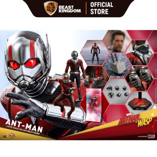 Hot Toys MMS497 Ant Man: Ant Man and The Wasp 1/6 Scale