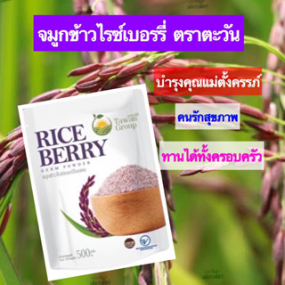 จมูกข้าวไรซ์เบอร์รี่ ตราตะวัน