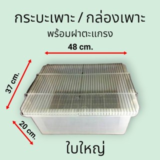 กล่องเพาะ ใบใหญ่  กระบะเพาะ  พร้อมฝาตะแกรง  สำหรับเลี้ยงหนู, นก, เม่น และสัตว์ชนิดอื่นๆ ขนาดเล็ก