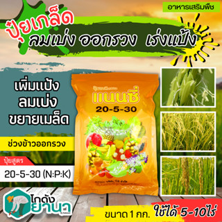 🌾 แนนซี่ 20-5-30 (ปุ๋ยเกล็ดผง) ขนาด 1กิโลกรัม เพิ่มปริมาณแป้ง เพิ่มความหวาน เพิ่มขนาดและสีสัน