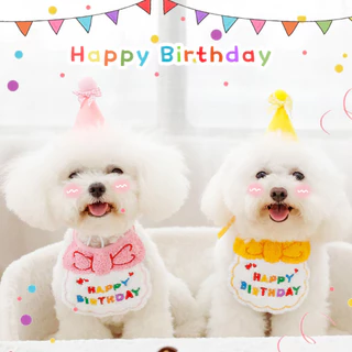 yoyopet : หมวกวันเกิดสัตว์เลี้ยง พร้อมปลอกคอวันเกิด เซ็ตผ้ากันเปื้อนวันเกิดแมว สุนัข ครบเซ็ต งานปัก