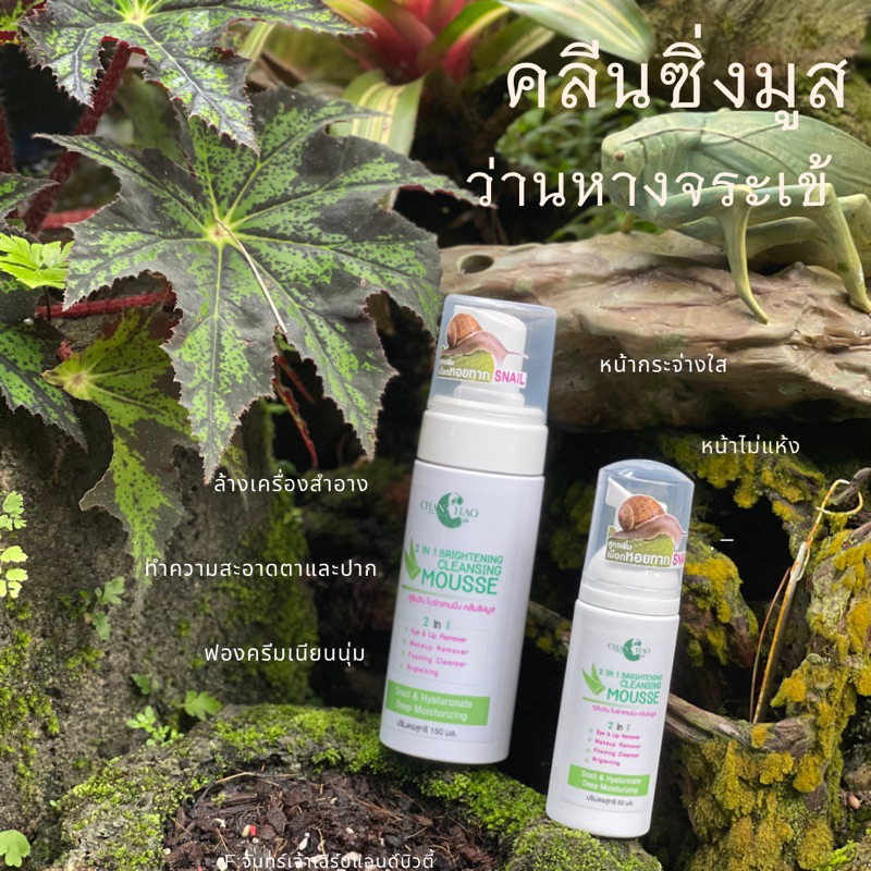 มูสล้างหน้าว่านหางจระเข้