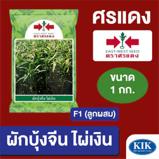 เมล็ดพันธุ์ ผักซอง ศรแดง BIG ผักบุ้งจีน ไผ่เงิน บรรจุ 1 กิโลกรัม