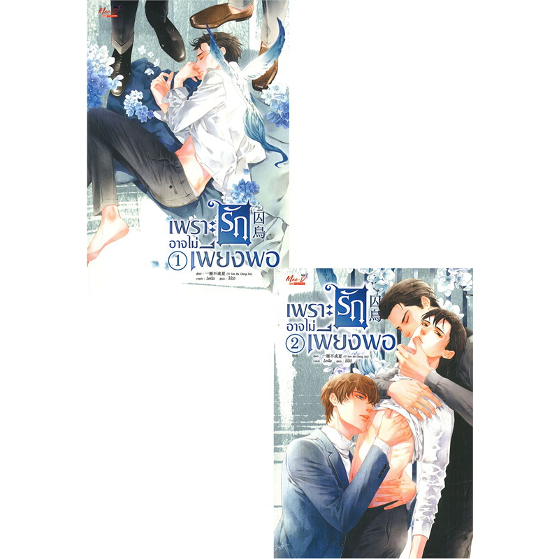 นิยายวาย เพราะรักอาจไม่เพียงพอ เล่ม 1-2 (SET 2 เล่มจบ) มือ 1 ในซีล ขีดสัน มีตำหนินิดหน่อย