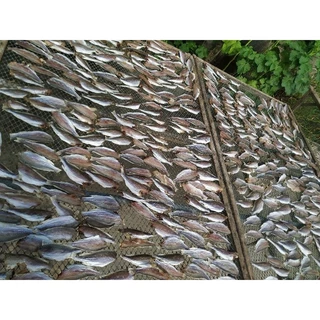 ปลาจวดตากแห้ง ปลาจวดเค็ม otop สินค้าจากแม่กลุ่มบ้าน ปลาจวดแดดเดียว ปลาจวดทะเล ใหม่สด ตากเองทุกวัน