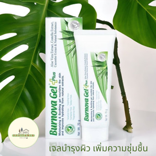 Burnova Gel Plus เบอร์นโนว่า เจล พลัส 70 กรัม