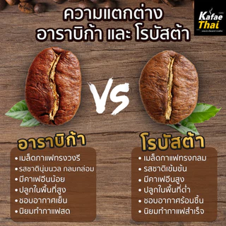 [ส่งฟรี] เมล็ดกาเเฟคั่ว Arabica Medium Roast เมล็ดกาแฟ อาราบิก้า 100% คั่วกลาง กลมกล่อม ขนาด 500 g