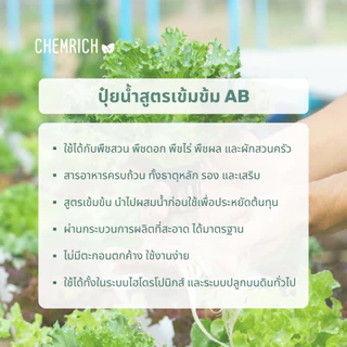 500ml ปุ๋ย AB ปุ๋ยไฮโดรโปนิกส์ ปุ๋ยน้ำ ผักสลัด ผักไทย กัญชา สมุนไพร ปุ๋ยเอบี สารอาหารครบทุกชนิด / Two-part fertilizer