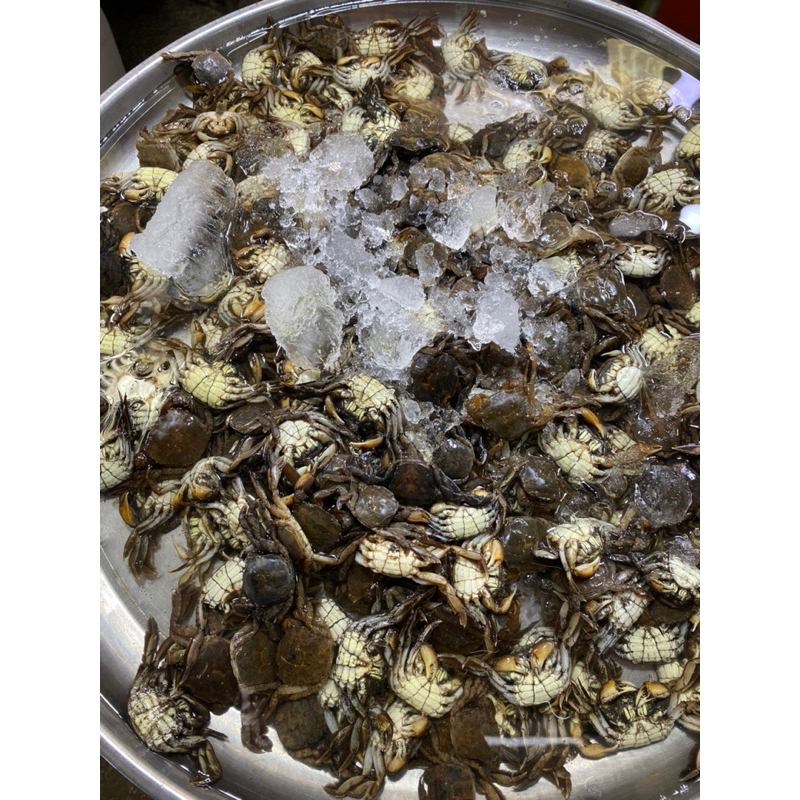 ปูแป้นดองน้ำปลา 🦀 ตัวผู้ล้วน 🦀 250 กรัม - รูปที่ 5