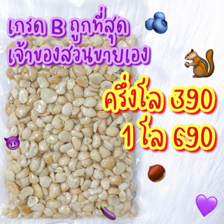 แมคคา อบใหม่ 12/09 เกรดบี หอมกรอบอร่อย เมล็ดสวย แมคคาเดเมีย อบธรรมชาติ Keto Macamadia