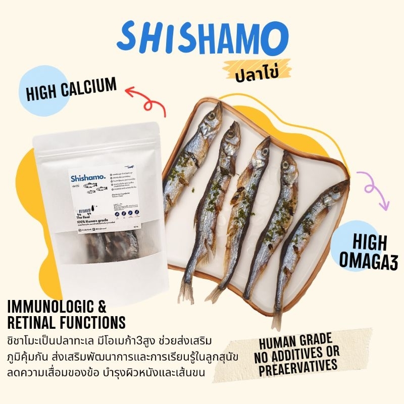 shishamo ปลาไข่ สำหรับน้องหมาน้องแมว