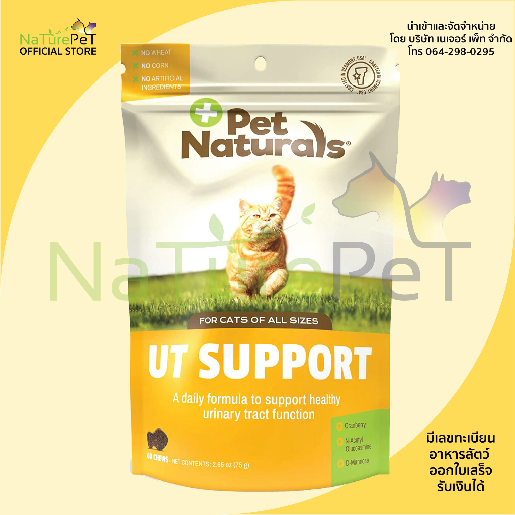exp 8/26 UT SUPPORT นิ่ว ระบบทางเดินปัสสาวะ 60 ชิ้น แมว แมวฉี่ไม่ออก CRANBERRY URINARY CAT PET NATUR