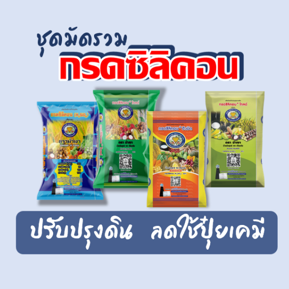 <มัดรวม>ชุดปุ๋ยปรับปรุงดิน เกรดประหยัดและเกรดพรีเมียม