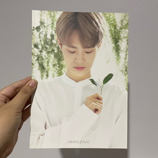 โปส innisfree แดฮวี wannaone ab6ix 2 ใบ