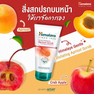 Himalaya Gentle Exfoliating Apricot Scrub 100 g ขจัดเซลล์ผิวเสื่อมสภาพและสิวหัวดำอย่างอ่อนโยน เผยผิว เปล่งปลั่ง สดใส