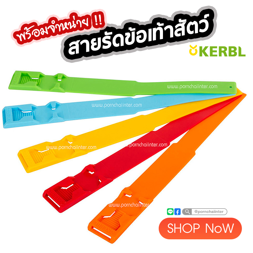 สายรัดข้อเท้าสัตว์ สำหรับทำเครื่องหมายวัวในคอก ใช้งานง่าย บรรจุ 1 ชิ้น Fetlock strap