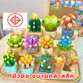 FEELO ชุดตัวต่อ Succulent Plant กระถาง ไม้อวบน้ำ 12 ชนิด (ขนาด lego classic) ไม่พร้อมแท่นโชว์