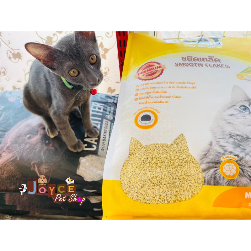 ทรายแมวเต้าหู้ power cat แบบเกล็ด