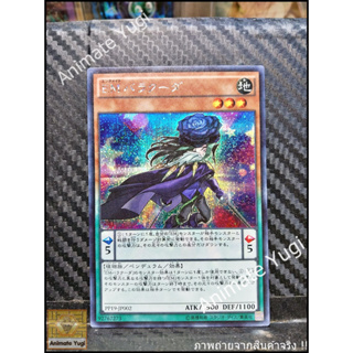 SCR 152 [Yu-Gi-Oh! การ์ดยูกิแท้ yugi ]   " PP19-JP002 : Performapal Barracuda  " (SCR)