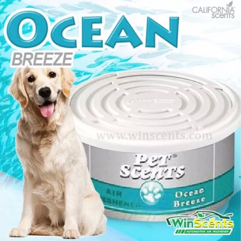 California Scents ไฟเบอร์หอมปรับอากาศ Pets Lover กลิ่น Ocean Breeze  ดับกลิ่นฉี่ ดับกินขี้ ดับกลิ่นสาป ปรับอากาศ