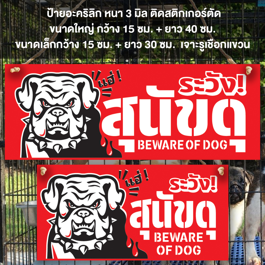 ป้ายระวังสุนัขดุ อะคริลิก หนา 3 มิล ติดสติ๊กเกอร์ เจาะรู เชือกแขวน ขนาด15+40 ซม.