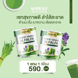 ✅ส่งฟรี วีทกราส อัลฟาฟ่า คลอโรฟิลล์ ไฟเบอร์ ล้างสารพิษ ลำไส้ ขับถ่าย ยูมิโกะ  200 กรัม Wheatgrass Alfalfa yumiko 200 g