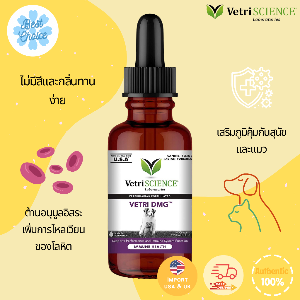 Vetri ถูกที่สุด พร้อมโปรโมชั่น พ.ย. 2023|BigGoเช็คราคาง่ายๆ