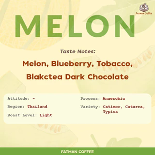 ราคาส่ง 1-3 Kg. เมล็ดกาแฟ น่าน Melon Thailand (Exotic coffee)