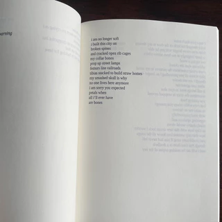 You'll Come Back to Yourself by Michaela Angemeer literature poetry prose english books (Paperback)