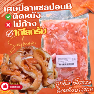 เศษเนื้อแซลมอน​ตัดแต่ง​1kg.(ติดหนังขาวช่วงท้อง​ ไม่ก้าง) 🔥ค่าส่งเหมา✅คละได้ทั้งร้าน❗️โฟมฟรี💦ทุกจังหวัด 🚚💨