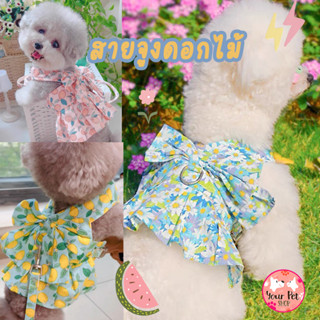 เดรสสายจูง เสื้อสายจูงดอกไม้ Flower Pet Harness เสื้อสายจูงแมว เสื้อสายจูงหมา เสื้อสายจูงสุนัข