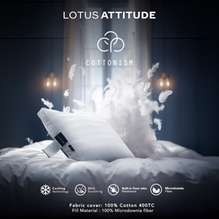 LOTUS ATTITUDE หมอนหนุนผสาน Cooling Technology นวัตกรรม Microdownia Fiber รุ่น Cottonism Pillow ส่งฟรี