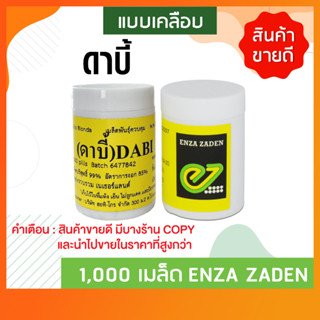 เมล็ดกรีนคอรัล ดาบี้ (Green Coral Dabi) ชนิดเคลือบ 1000 เมล็ด ยี่ห้อ Enza Zaden จากประเทศเนเธอร์แลนด์ by hydroponicgroup