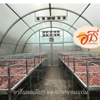 หมูแดดเดียว อารีแดดเดียว สุดยอดของฝากขอนแก่น (รอบส่ง08/05/69)