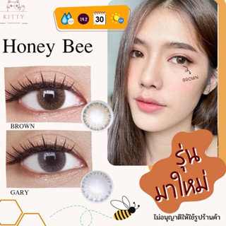 คอนแทคเลนส์ 🎀 Honey Bee 🎀 Brown / Gray(Kitty Kawaii)[มีสายตาสั้นถึง 1000]💝สีเทาสีน้ำตาลขนาดมินิสวยขายดี