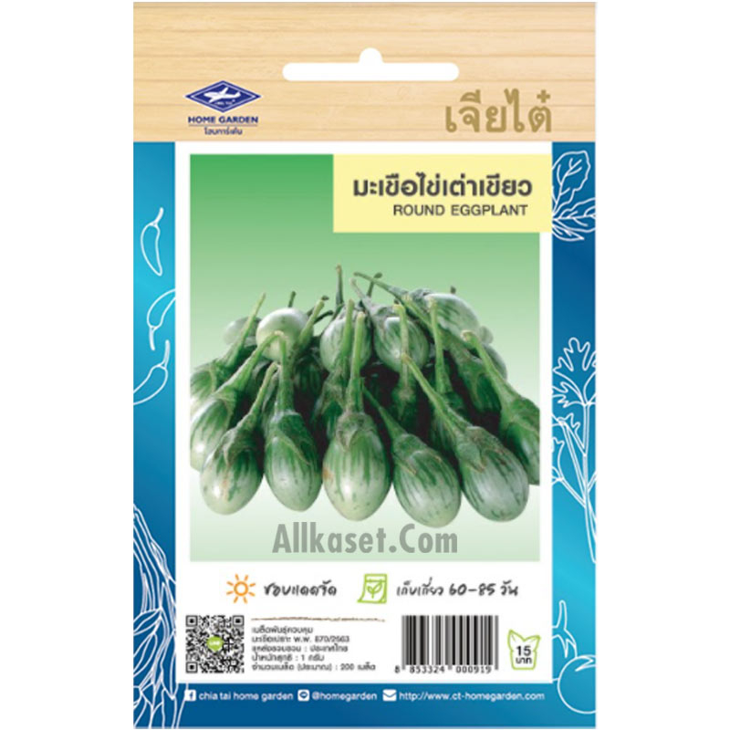 เมล็ดพันธุ์ มะเขือไข่เต่าเขียว