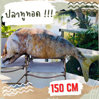 ตุ๊กตาปลาทูทอด ไซส์ยักษ์ 150cm สกรีนสีสวย ตัวใหญ่