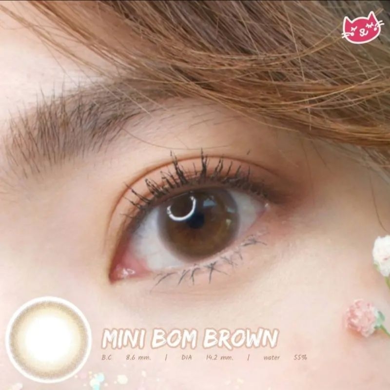 คอนแทคเลนส์ คิตตี้ คาวาอิ Mini Bom Brown (Dia:14.2)มีค่าสายตา Kitty Kawaii ( ใส่ไปเรียนได้ )