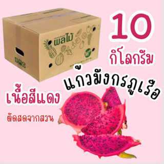 พร้อมส่ง แก้วมังกรภูเรือ เนื้อสีแดง 10 กิโลกรัม #แก้วมังกรแดง ตัดสดจากสวน