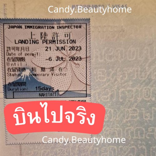 🔆เต่านำโชค🐢เครื่องรางวัดอาสากุซะ🇯🇵💰พกติดกระเป๋า ติดโทรศัพท์ - รูปที่ 7