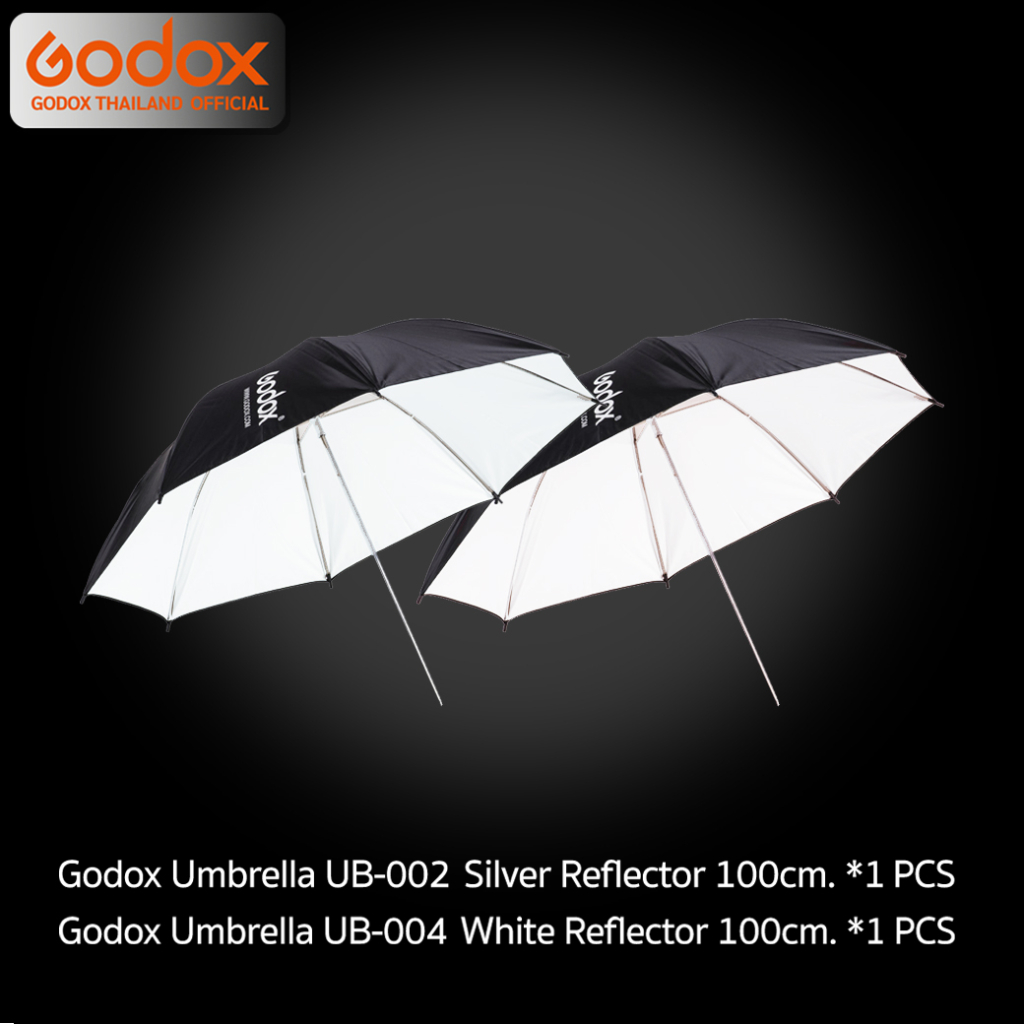 Godox Studio Flash SK400IIV-C SET ชุดไฟสตูดิโอ 400W - รับประกันศูนย์ Godox Thailand 3ปี ( SK400II V-C )
