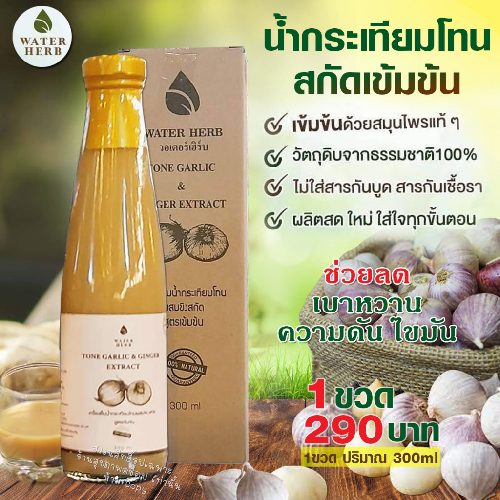 น้ำกระเทียมโทนสกัดเข้มข้น (WATERHERB) น้ำกระเทียมโทน ขิง มะนาว น้ำแอปเปิ้ลไซเดอร์ น้ำผึ้ง /1ขวด