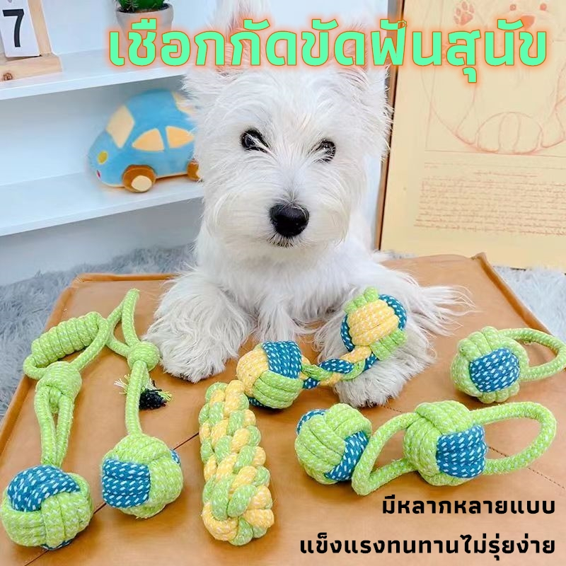 รูปภาพ 2