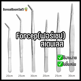 *พร้อมส่งจากไทย* ฟอร์เซป Forcep ปากคีบ ปลายตรงและปลายงอ