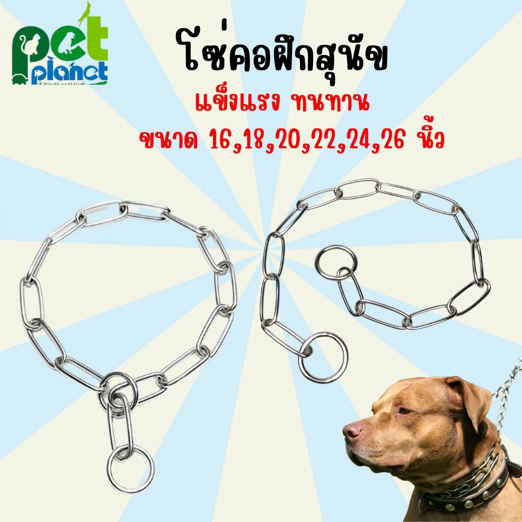 โซ่คอสุนัข ปลอกคอฝึกสุนัข สายจูงสุนัข ปลอกคอโซ่ฝึกสุนัขคุณภาพดี ปลอกคอสุนัข โซ่สำหรับ สุนัข หมา กันกัด