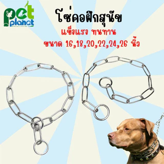 โซ่คอสุนัข ปลอกคอฝึกสุนัข สายจูงสุนัข ปลอกคอโซ่ฝึกสุนัขคุณภาพดี ปลอกคอสุนัข โซ่สำหรับ สุนัข หมา กันกัด