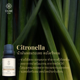 Pure Essential Oil น้ำมันหอมระเหย 100% ตะไคร้หอม Citronella | 15 ml. พร้อมจุกหยดในตัว | อวล