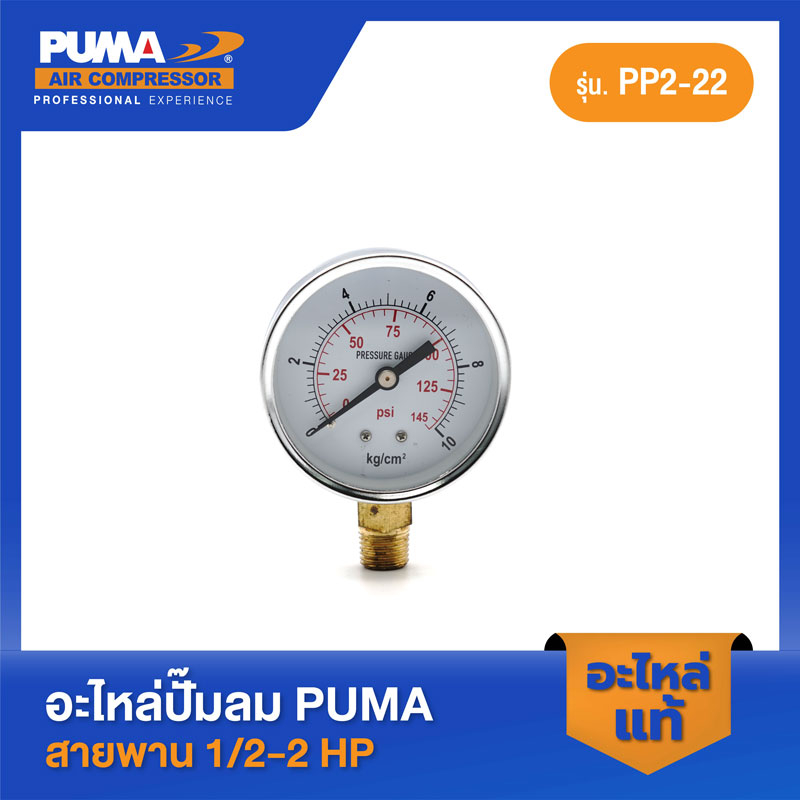 PUMA เกจ์ลม PUMA 145 ปอนด์ 2.5" เกลียว 1/4" 1/2-2 HP 3 สูบ อะไหล่ปั๊มลมสายพาน รุ่น PP-2,PP-2P,PP-21,PP-22,PP-32
