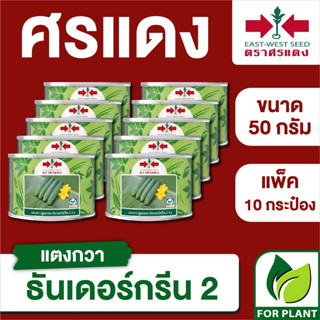 ขายส่ง เมล็ดพันธุ์ ศรแดง BIG แตงกวา ธันเดอร์กรีน2 ขนาด 50 กรัม (50 กรัม X 10 กระป๋อง)