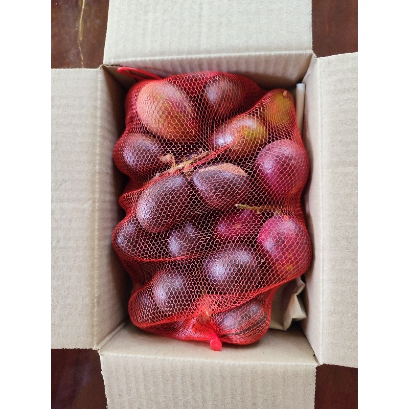 ลำไยคริสตัลพันธุ์สีม่วง สีเขียว และสีเหลืองบอร์เนียว (เขียวแกมแดง) ทดลองชิมครึ่งกิโลกรัม